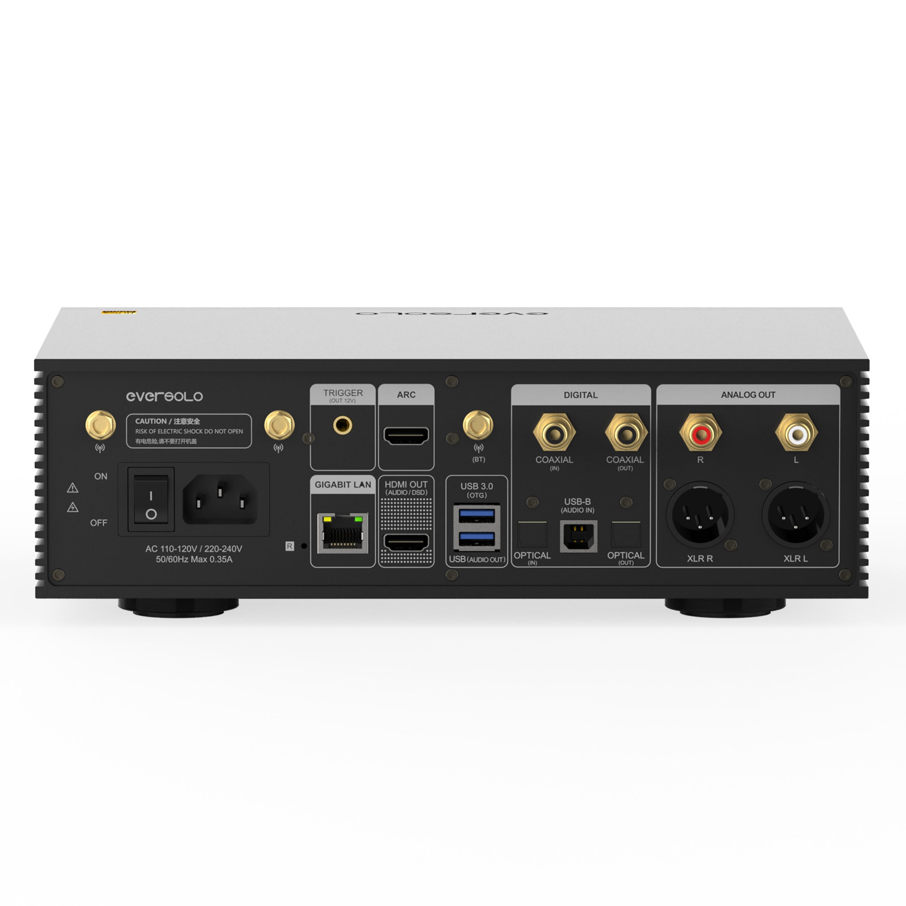 EverSolo DMP-A6 Gen 2 - rear components view