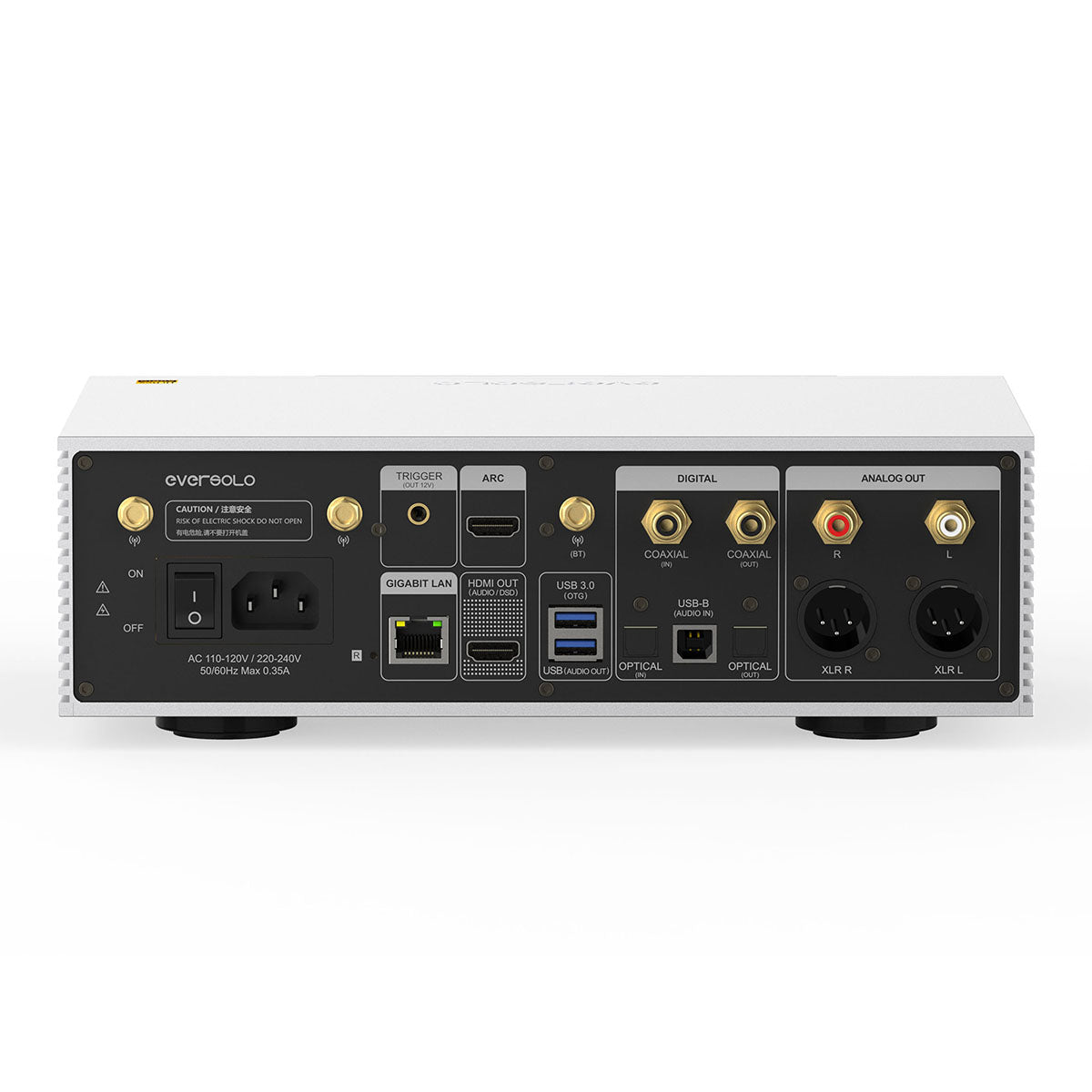 EverSolo DMP-A6 Master Edition Gen 2 - silver rear components view