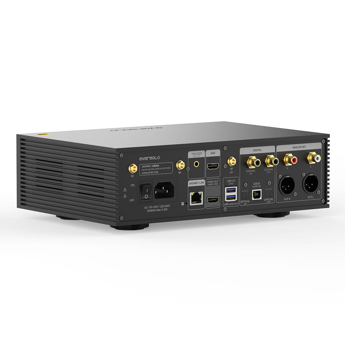 EverSolo DMP-A6 Master Edition Gen 2 - black angled rear view