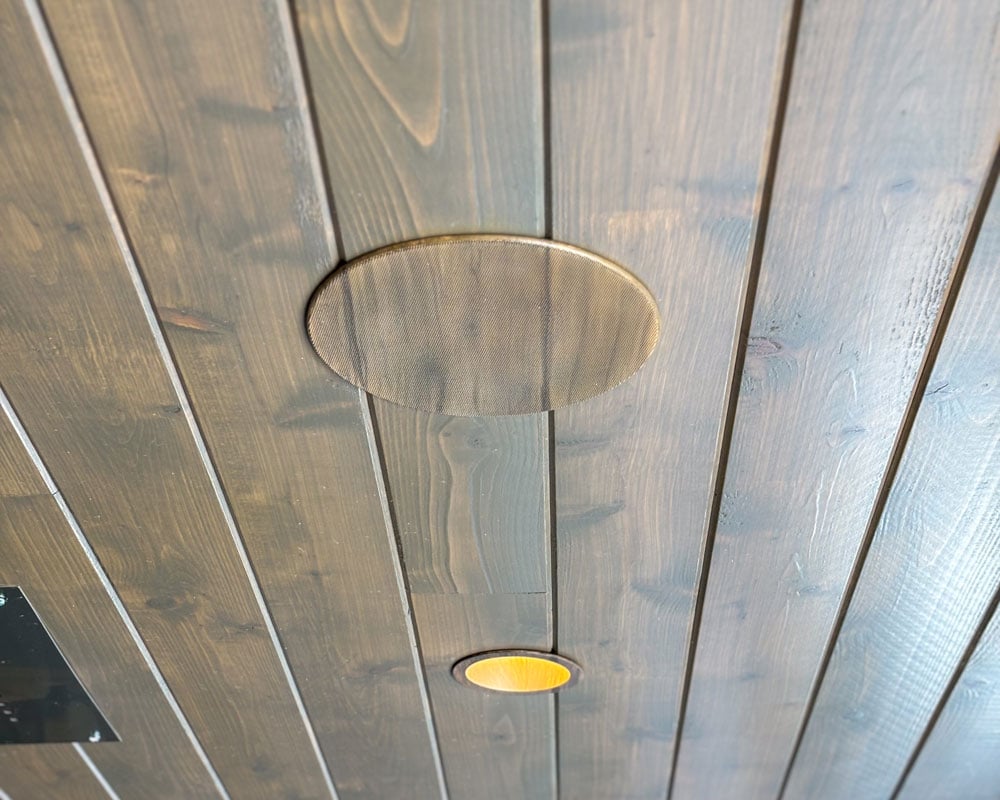 Patio in-ceiling speaker